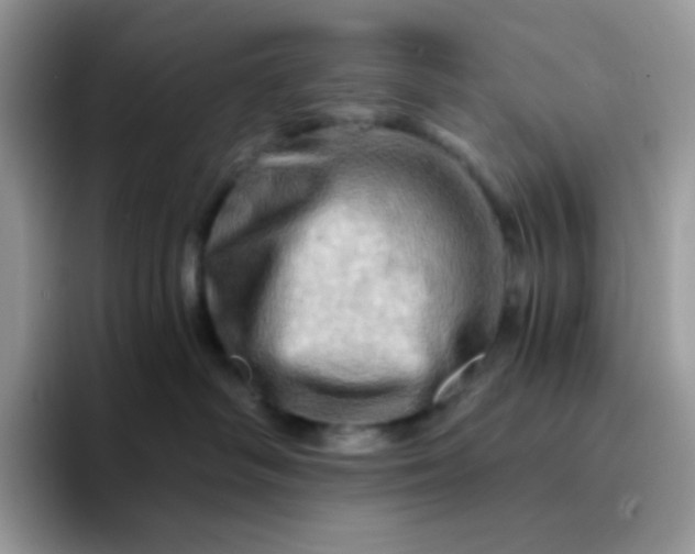 X0000094200334200711091224