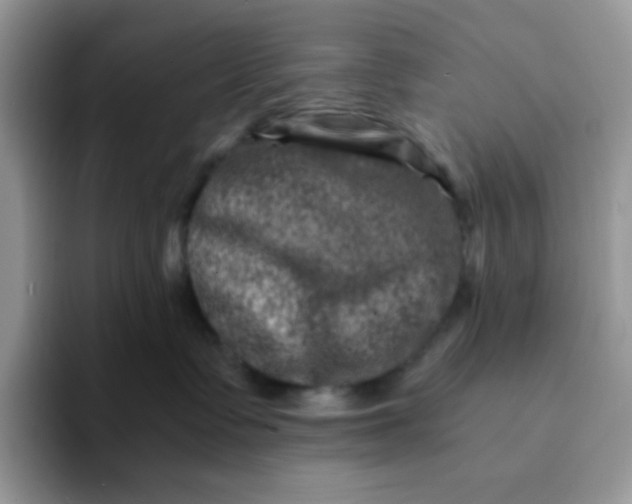 X0000094200335200711091224