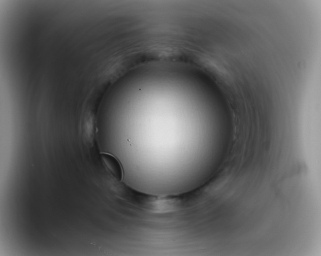 X0000094200336200711091224