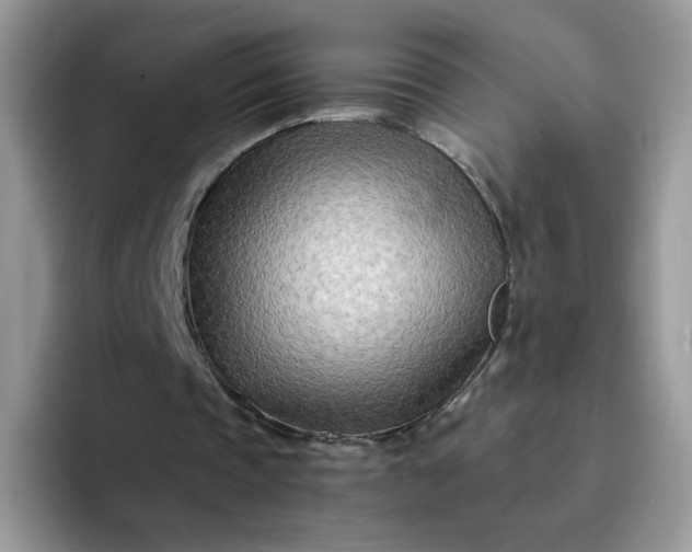 X0000094200337200711091223