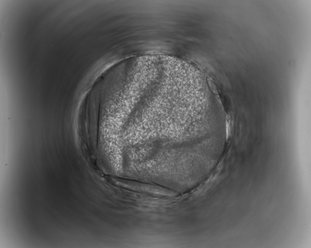 X0000094200339200711091223