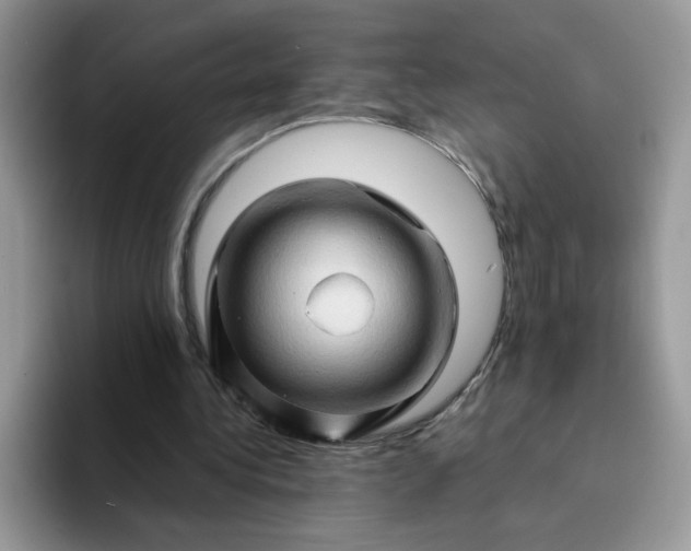 X0000094200340200711091223