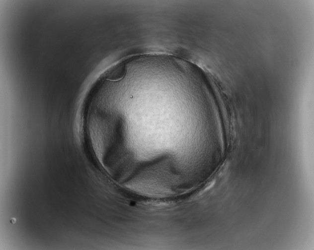 X0000094200343200711091223