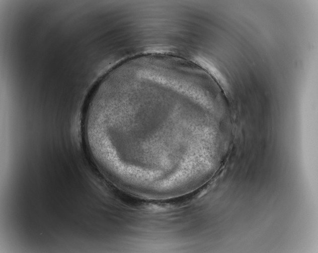 X0000094200346200711091223