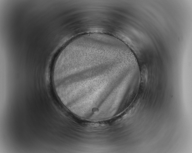 X0000094200347200711091223