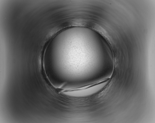 X0000094200349200711091223