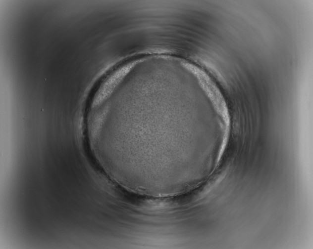 X0000094200351200711091223