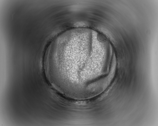 X0000094200353200711091223