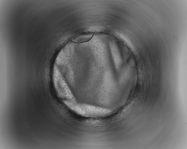 X0000094200354200711091223