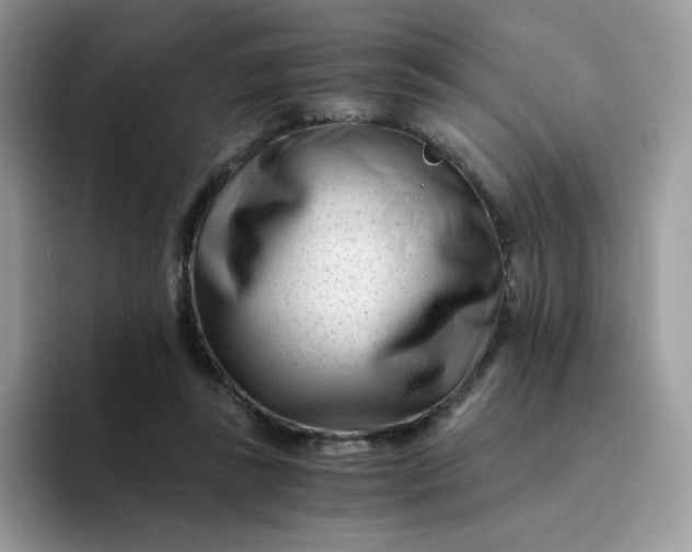 X0000094200355200711091223