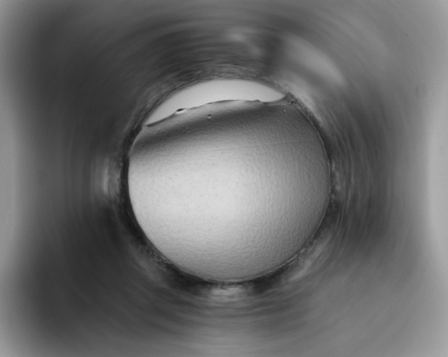 X0000094200357200711091223