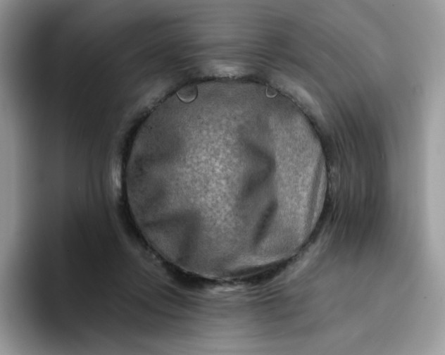 X0000094200358200711091223