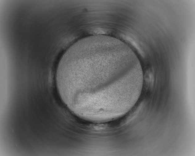 X0000094200359200711091223