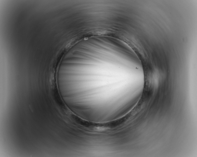 X0000094200360200711091223