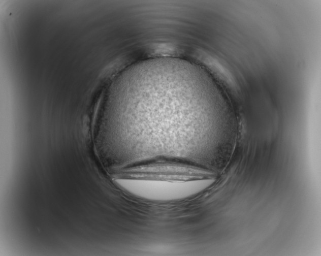 X0000094200361200711091223