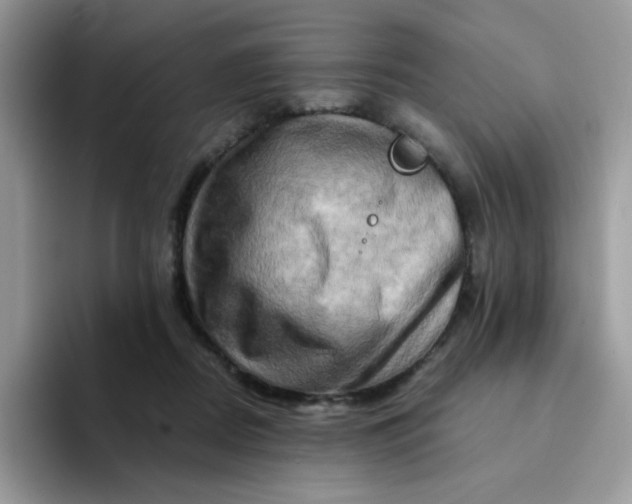 X0000094200362200711091223