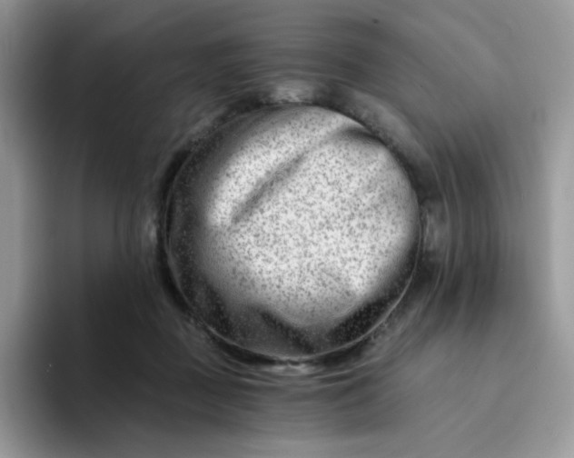 X0000094200363200711091223