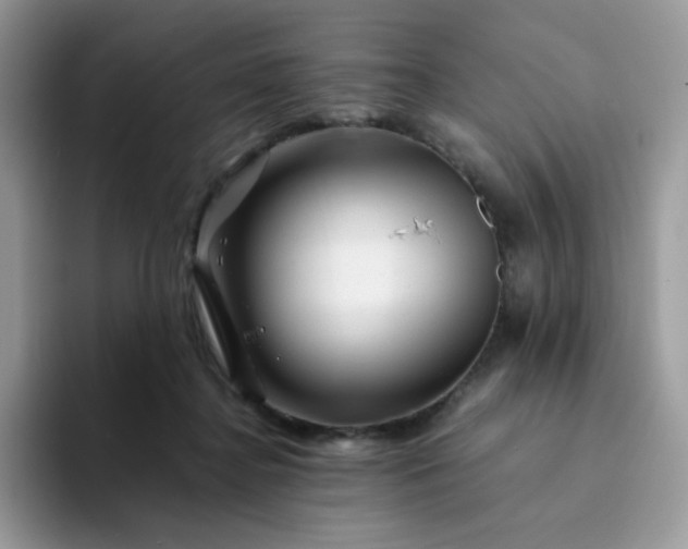 X0000094200364200711091223