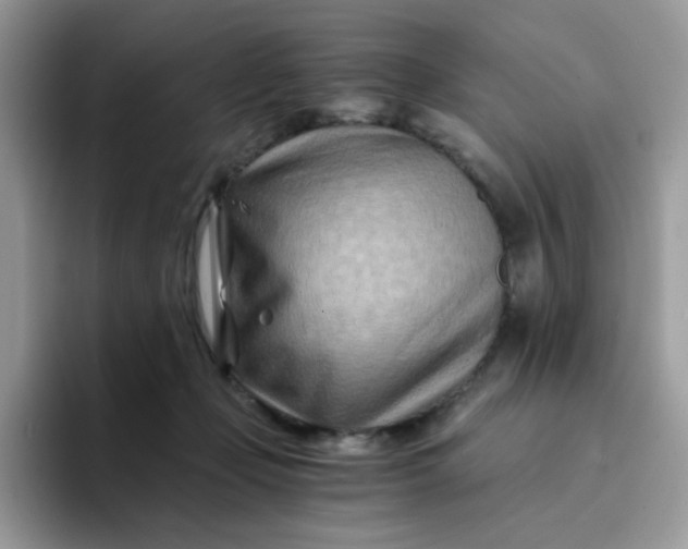 X0000094200365200711091223