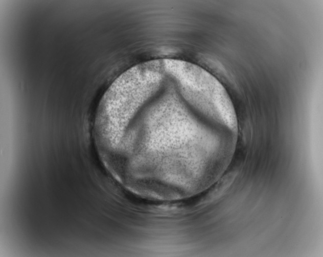 X0000094200366200711091223