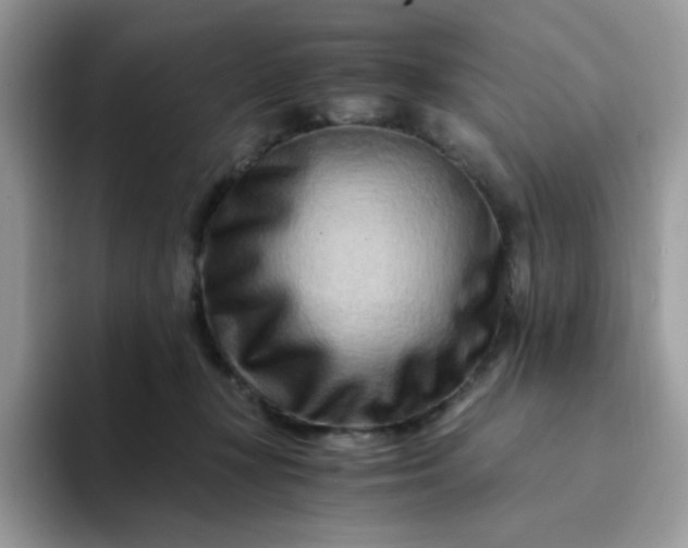 X0000094200367200711091223