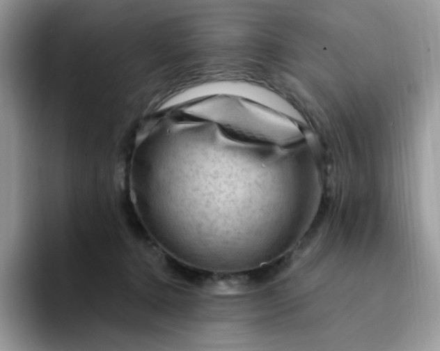 X0000094200368200711091223