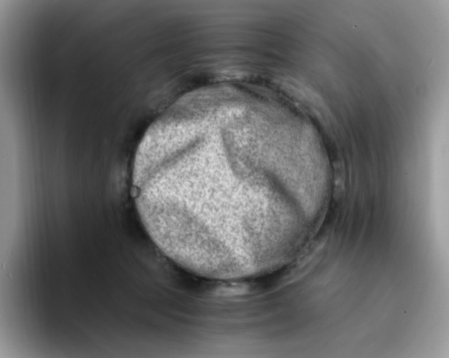 X0000094200369200711091223