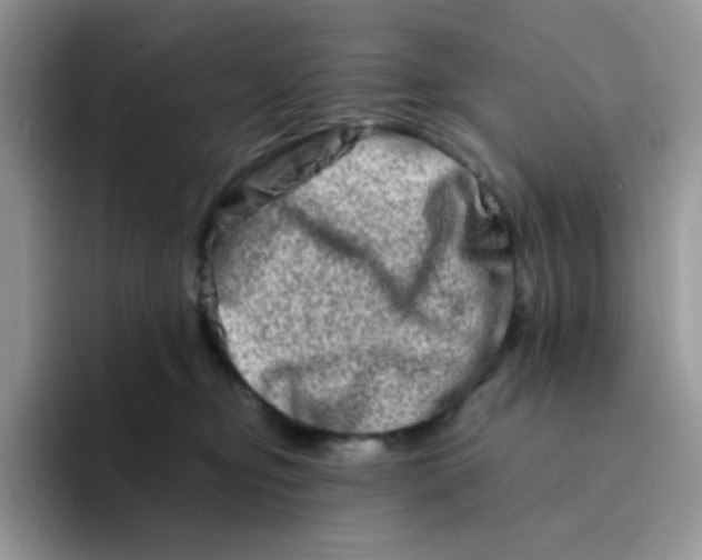 X0000094200374200711091223