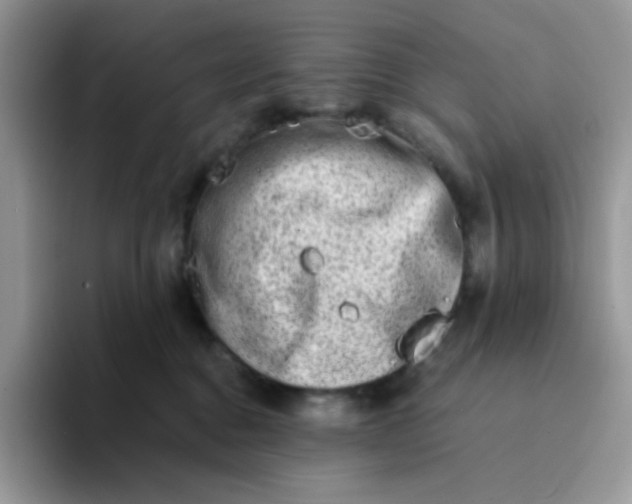 X0000094200376200711091224