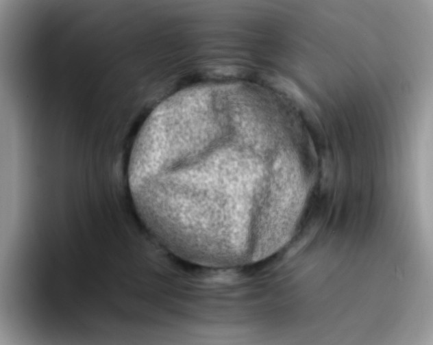 X0000094200377200711091224