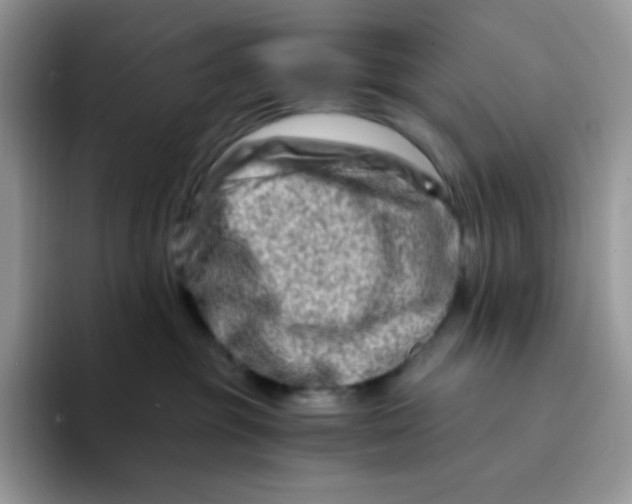 X0000094200381200711091224