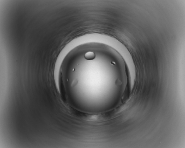 X0000094200382200711091224