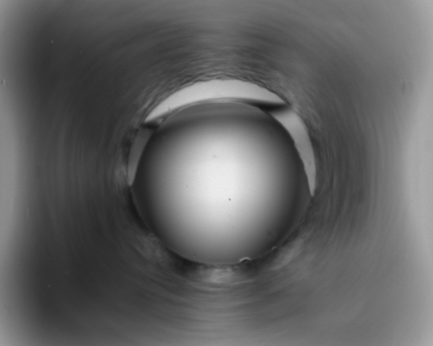 X0000094200384200711091224