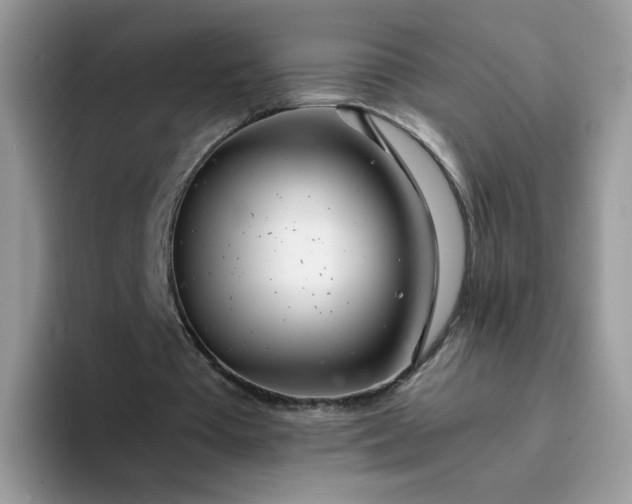 X0000094200385200711091223