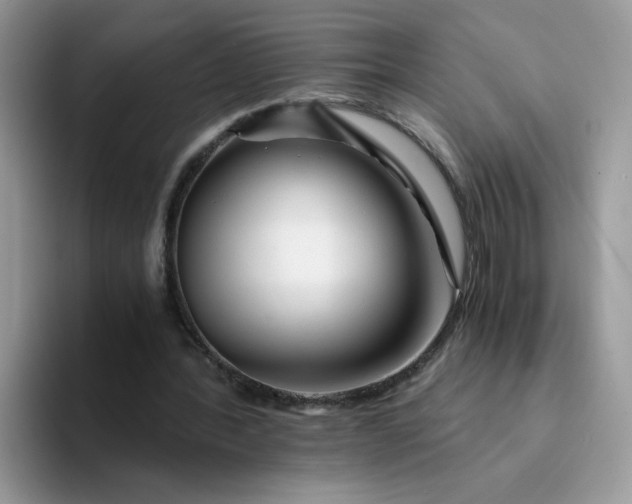 X0000094200388200711091223