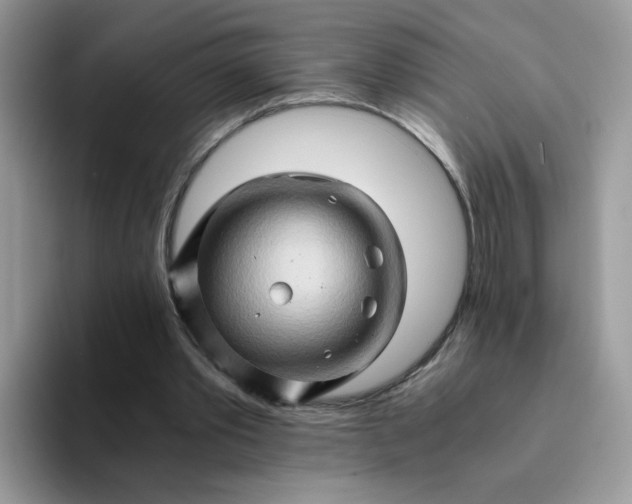 X0000094200389200711091223