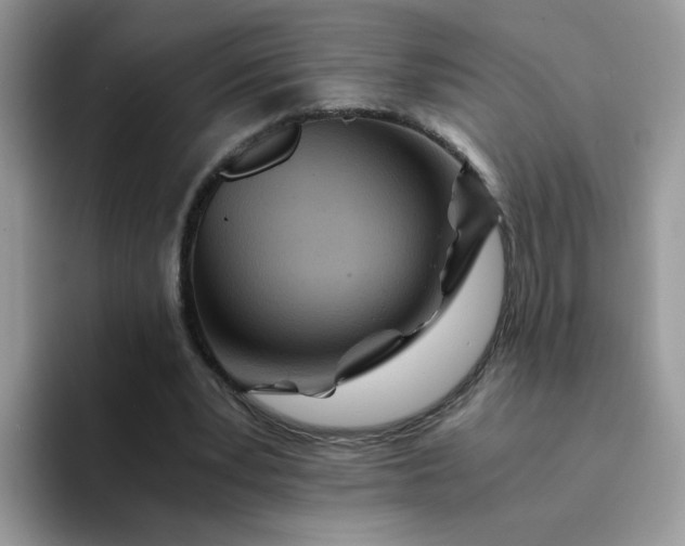 X0000094200391200711091223