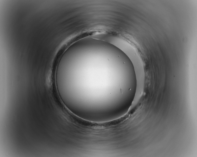 X0000094200392200711091223