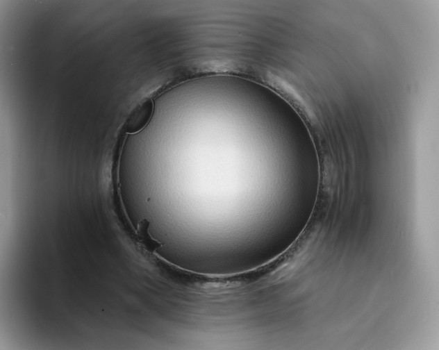 X0000094200394200711091223