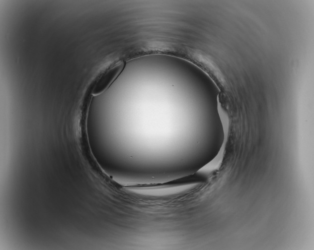 X0000094200395200711091223