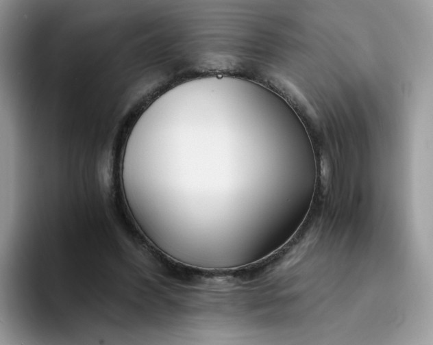 X0000094200396200711091223