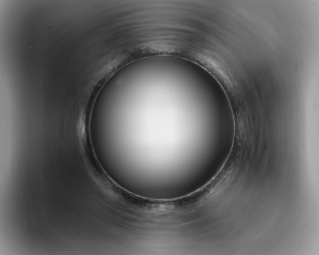 X0000094200398200711091223