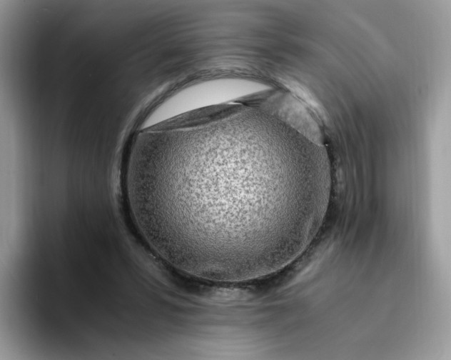 X0000094200399200711091223