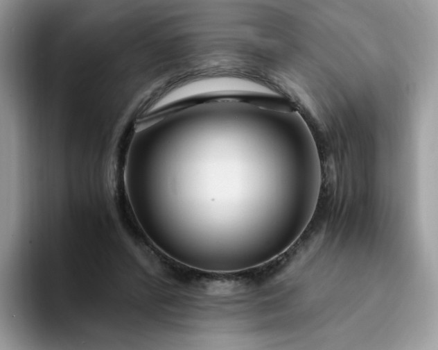 X0000094200400200711091223