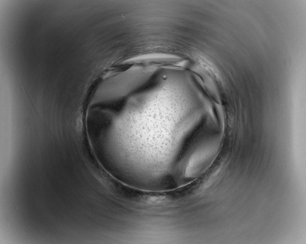 X0000094200401200711091223