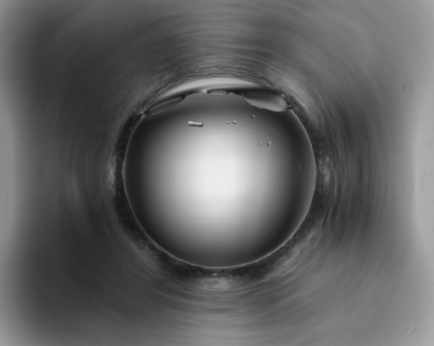 X0000094200404200711091223