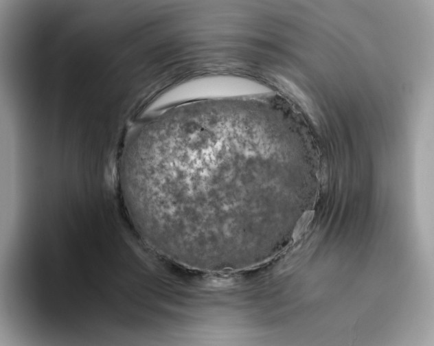 X0000094200405200711091223