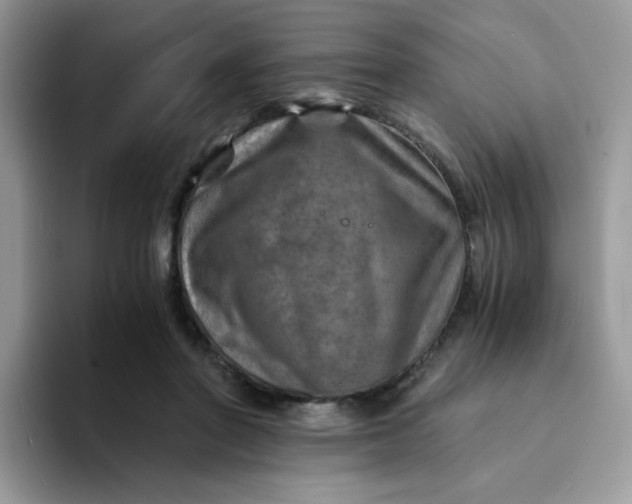 X0000094200406200711091223