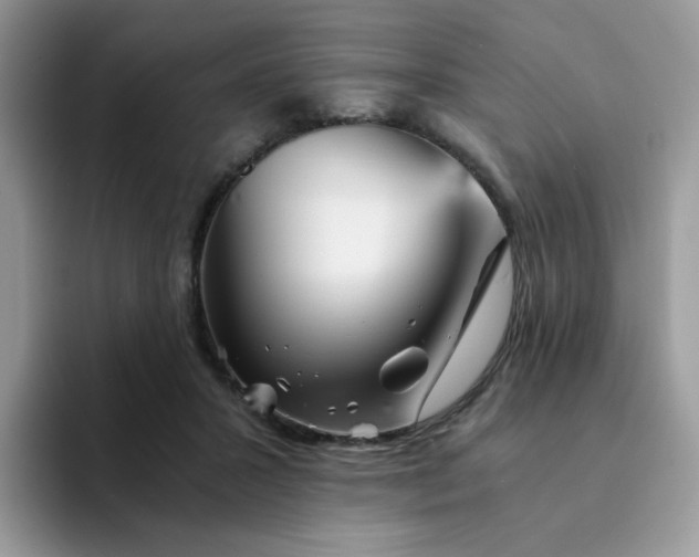 X0000094200407200711091223