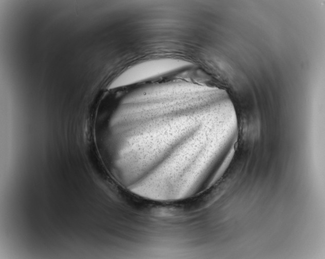 X0000094200408200711091223